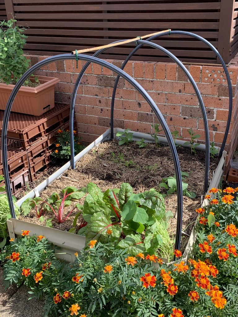DIY Netting for Raised Garden Beds - The Gourmantic Garden