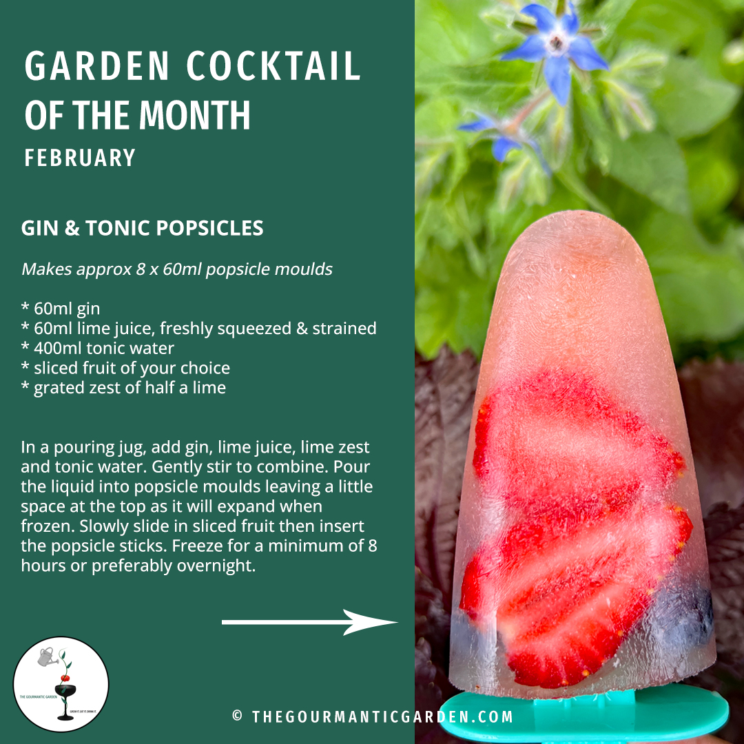 February Garden Cocktail: Gin & Tonic Popsicles