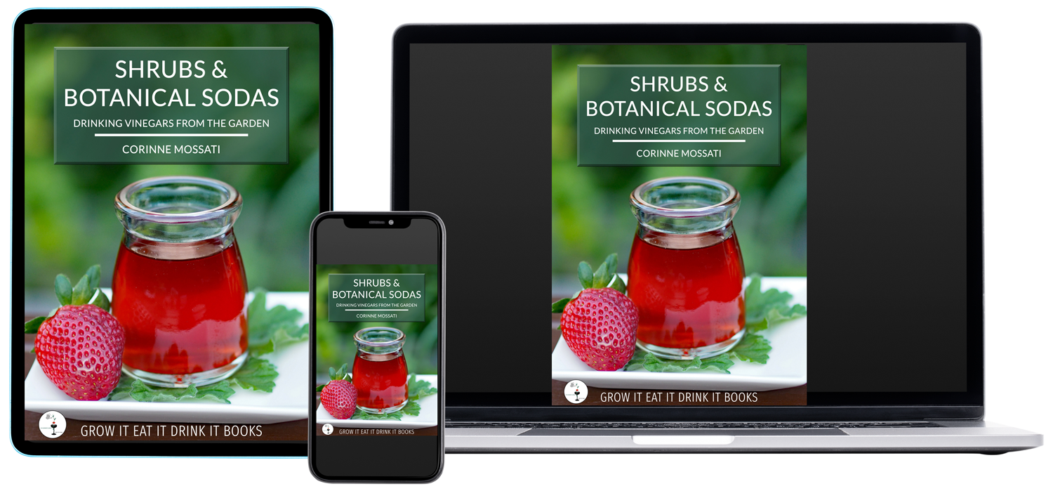 Shrubs & Botanical Sodas