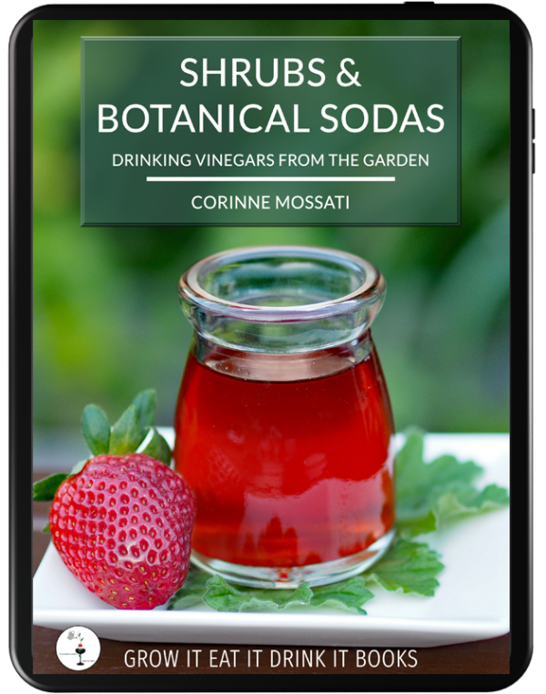 Shrubs & Botanical Sodas